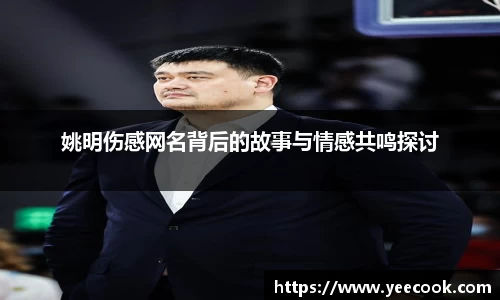 姚明伤感网名背后的故事与情感共鸣探讨
