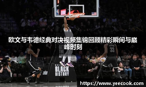 欧文与韦德经典对决视频集锦回顾精彩瞬间与巅峰时刻
